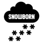 Slot Snowborn Games