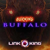 Gioco Link King Burning Buffalo Link King Burning Buffalo